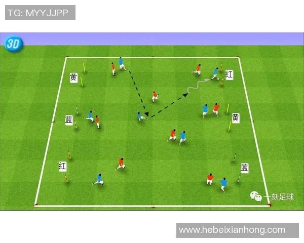 深入探讨上海乒乓球队成员个人能力差异及其对整体表现的影响