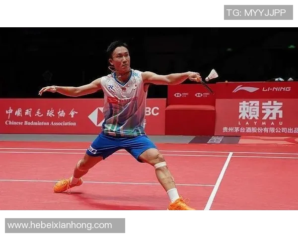 武汉羽毛球队在锦标赛中的战术表现分析与点评 武汉羽毛球队在锦标赛中的战术表现分析与点评