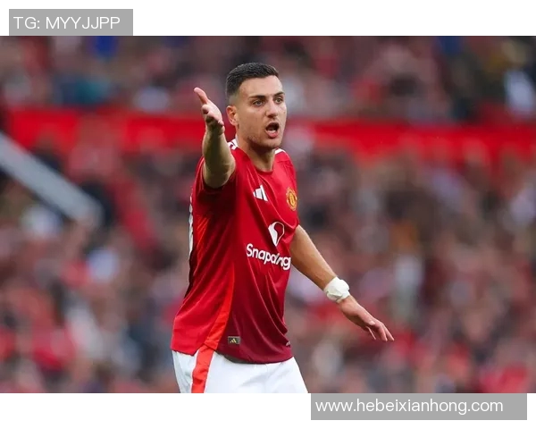 曼联足球明星介绍视频揭晓谁是球队的超级巨星