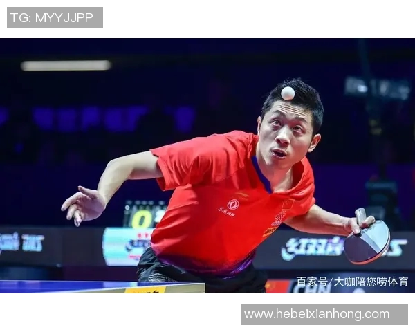 深圳羽毛球队实力大变革引发热议展现新风貌与未来发展潜力