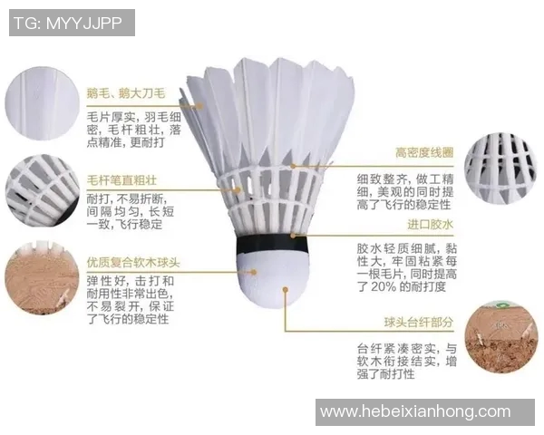 羽毛球战术揭秘：深入西安羽毛球队的训练与比赛策略分析