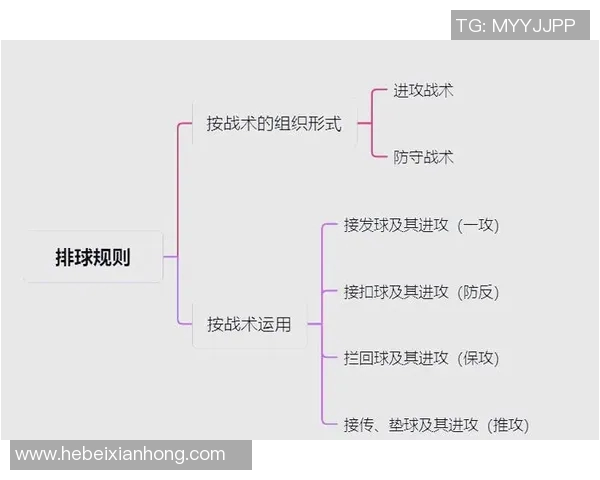成都排球队进攻策略解析与战术创新的深度剖析