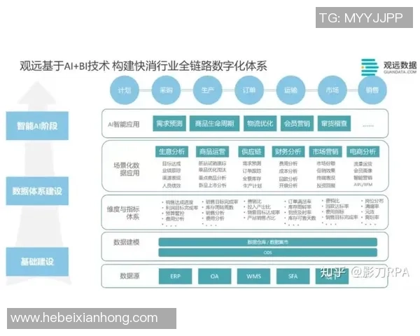 深入分析上海羽毛球队防反战术的独特魅力与实战应用