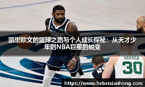 JN江南体育官方app